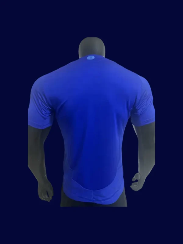 Argentina 24/25 Away Blue Jersey Player Version - Back | Tapered Back Design