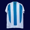 Argentina 24/25 Home Jersey Fans Version - Back | Replica Back View