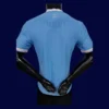 Inter Miami 2526 Third Player Jersey Back | Match Alternate Rear