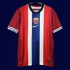 Norway 2024-25 Home Red Football Jersey Fans Version - Front | Casual fit, supporter edition