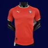 Portugal 2526 Home Player Jersey Red Front | Pro Match Kit
