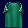 Algeria Away Green Jersey 2627 Fans Version2 - KFCool – Football Jerseys & Soccer Kits Store Algeria away green jersey 26/27 fans back (no stars) with logo area
