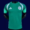 Algeria green training shirt 26/27 player front (white) — pro fit, breathable