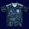 Argentina away jersey 26/27 fans front, supporter edition