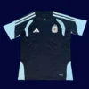 Argentina royal blue training shirt 26/27 fans front, training top