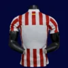 Atlético Madrid 25 26 player home jersey back with slim cut and reinforced seams for name and number