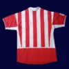 Atlético Madrid 2016 17 home retro style jersey back with slim cut and number area