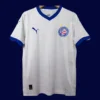 Bahia home jersey 25/26 fans version front blue red white stripes