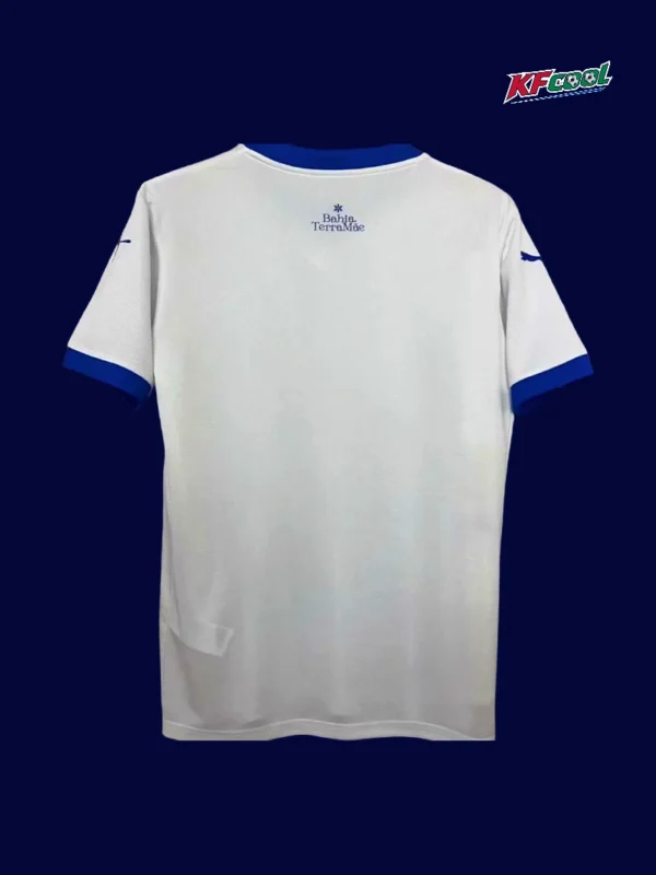 Bahia home jersey 25/26 fans version back view