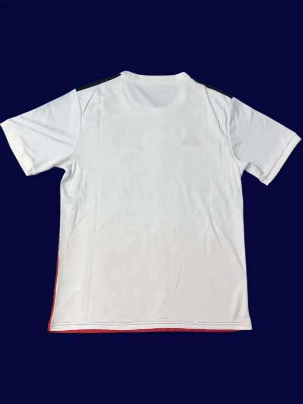 Benfica Special Edition 2526 Fans Version2 - KFCool – Football Jerseys & Soccer Kits Store Benfica Special Edition 25/26 Fans Version back custom number