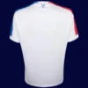 Crystal Palace Third Jersey 25/26 Fans Version back showing printed number panel.
