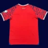 Ipswich Town Away Red Jersey 25/26 Fans Version back with printed number panel.