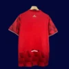 Lille Home Jersey 25/26 Fans Version back custom number