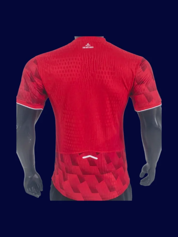 Lille Home Jersey 25/26 Player Version back player number