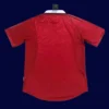 back view of home red retro jersey (1999) showing stitched back and number panel.