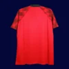 back view of home retro jersey (96/97) showing reinforced back for number printing.