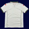 Nice Away Jersey 25/26 Fans Version back custom name & number