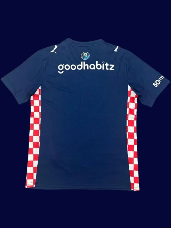 PSV Eindhoven Away Jersey 25/26 Fans Version back custom name & number