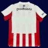 PSV Eindhoven Home Jersey 25/26 Fans Version back custom number