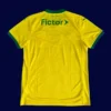 Palmeiras third jersey 25/26 fans version back view