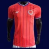 Scotland 26/27 away player jersey front — pro fit, alternate design