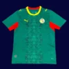 Senegal away green jersey 26/27 fans front — alternate kit, breathable