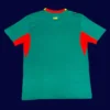 Senegal away green jersey 26/27 fans back with logo area