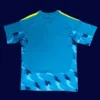 Spain blue goalkeeper jersey 26/27 back with padding and logo