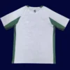 Sporting Special Edition Jersey 25/26 Fans Version back custom name & number