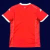 Tunisia home red jersey 26/27 fans back with collar detail