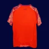 Universidad De Chile 25/26 away jersey back view