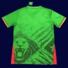 Back view of Cameroon 25/26 home jersey with customization area