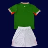 Back view of Ireland kids 25/26 home green kit
