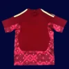 Italy goalkeeper brown-red jersey 26/27 back showing pad layout.