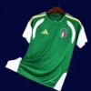 Italy green training shirt 26/27 fans version front, training top.