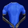 Italy home blue jersey 26/27 player version back with printed number area.