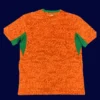 Ivory Coast home jersey 26/27 fans version back with number area.