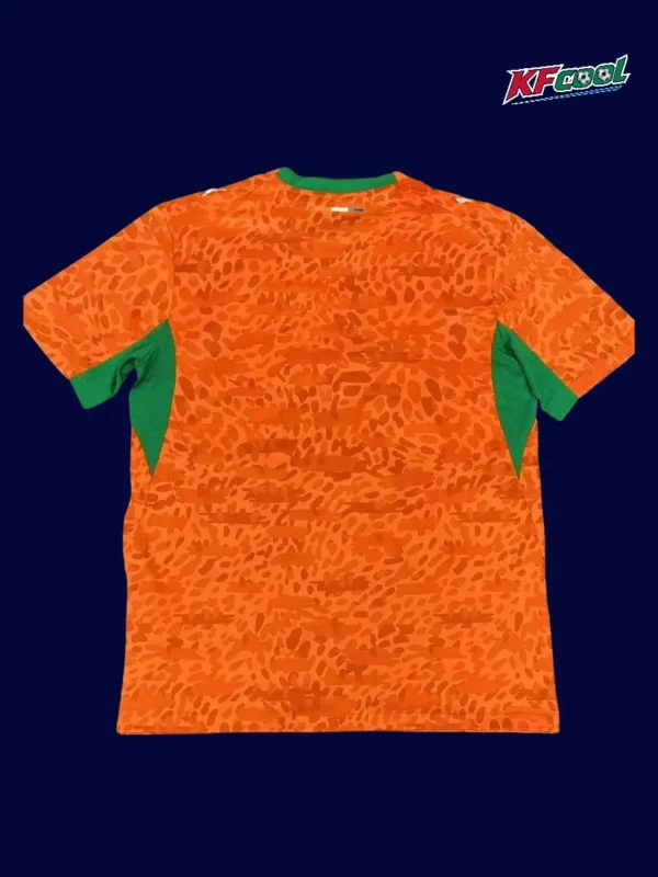 Ivory Coast home jersey 26/27 fans version back with number area.
