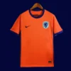 Netherlands 2024 home orange football jersey front fans version