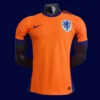 Netherlands 2024 home orange football jersey front player version