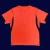 Netherlands home orange jersey 26/27 fans version back with number area.