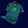 Nigeria 25/26 away green football shirt front fans version