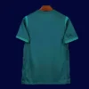 Back view of Nigeria 25/26 away green fans shirt