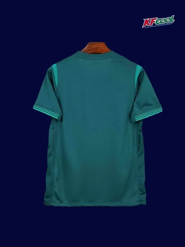 Back view of Nigeria 25/26 away green fans shirt