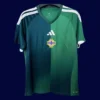 North Ireland 26/27 home green football jersey front fans version