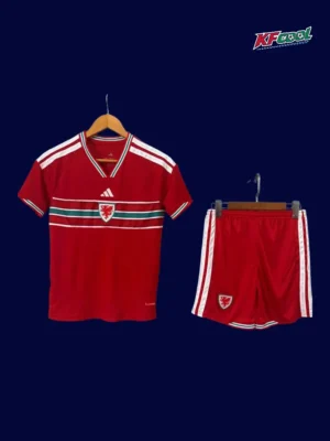 Wales Home Kids kits 26/27 Fans Version